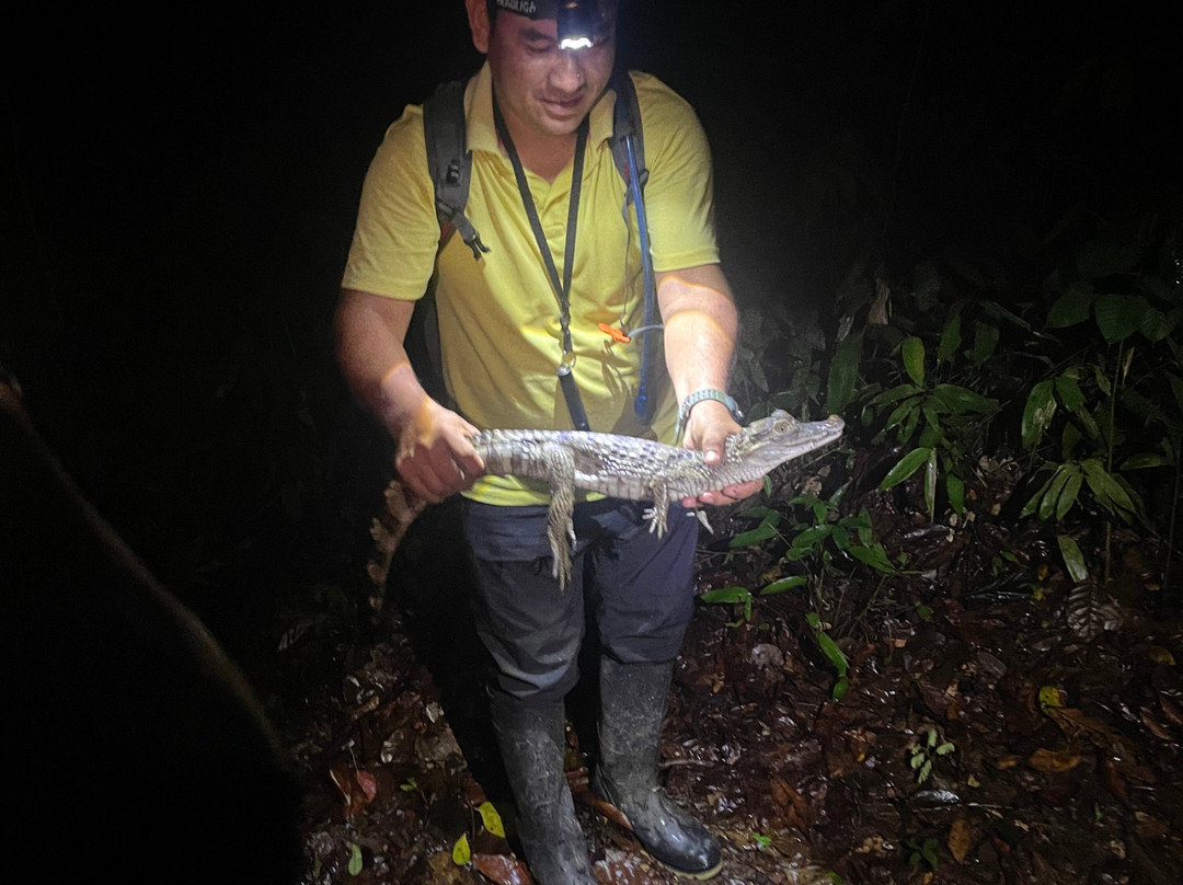 Yakumama Amazon Tours-伊基托斯必去景点