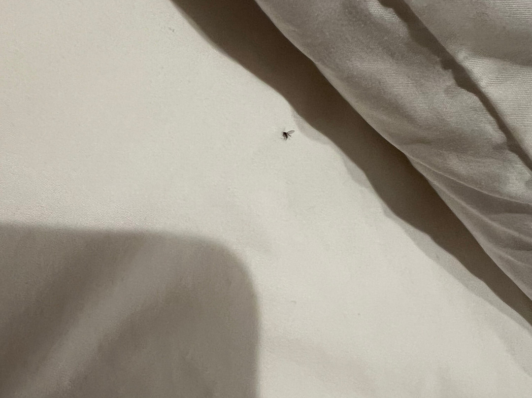 Country Inn & Suites by Radisson, Metairie (New Orleans), LA主图