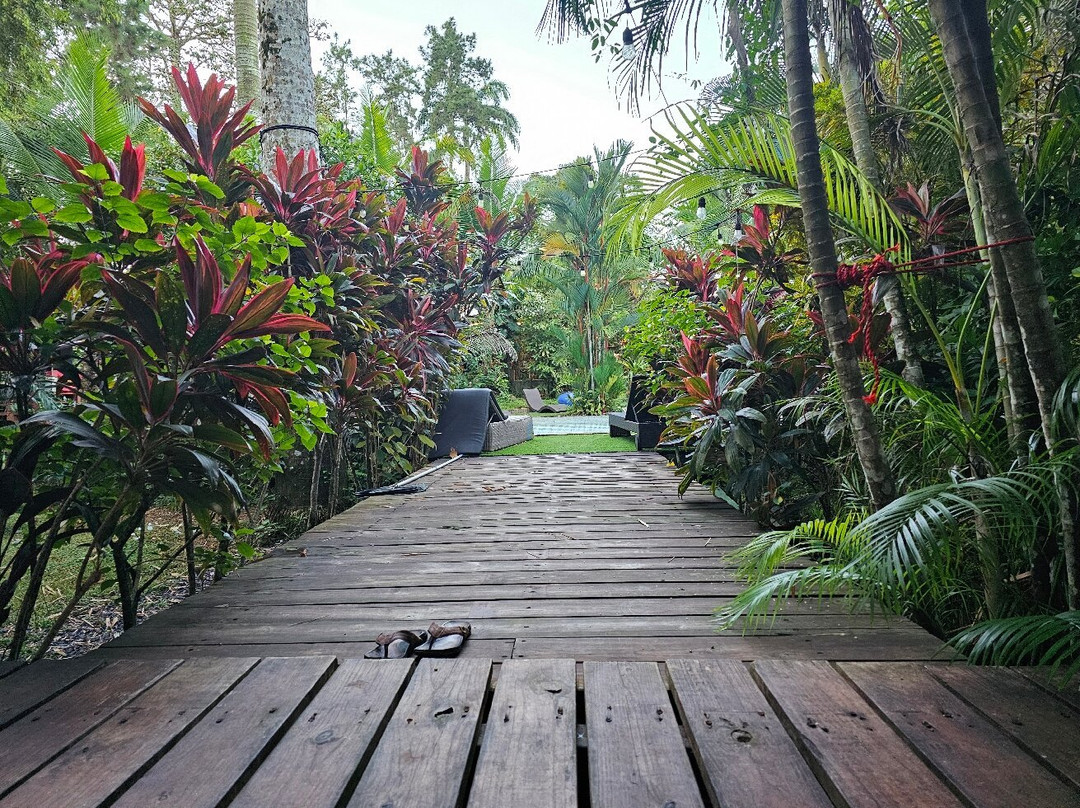 Monkey Lodge Panama主图