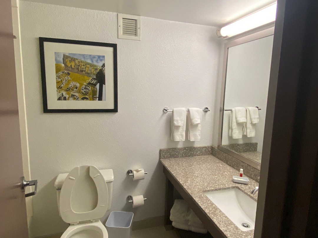 布法罗格罗夫温德姆花园酒店主图