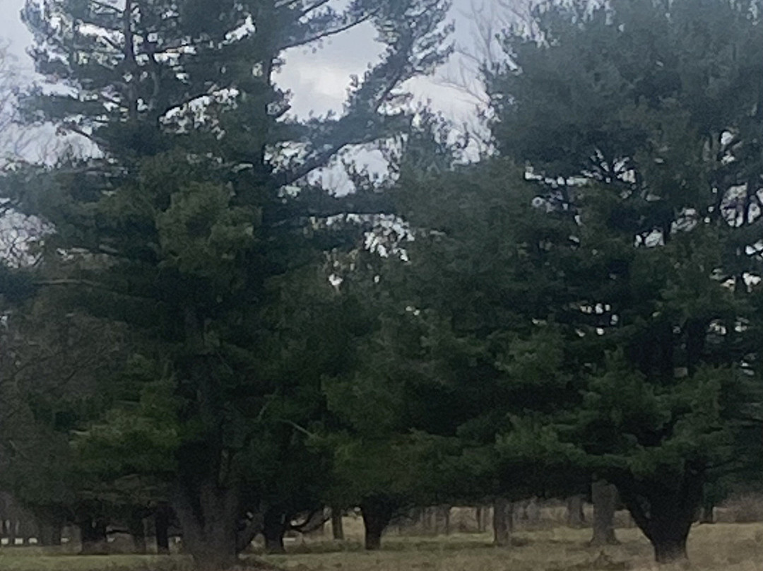 Yerkes Observatory-Williams Bay必去景点