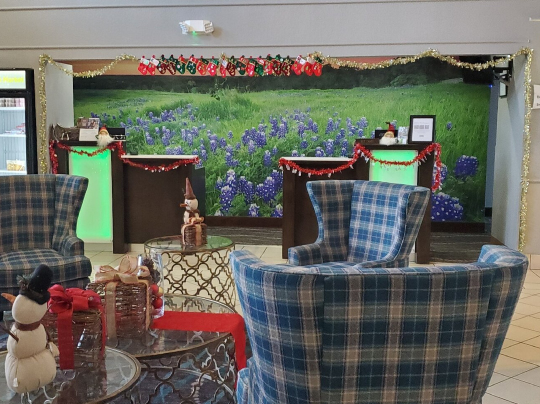 La Quinta Inn & Suites by Wyndham Kerrville主图