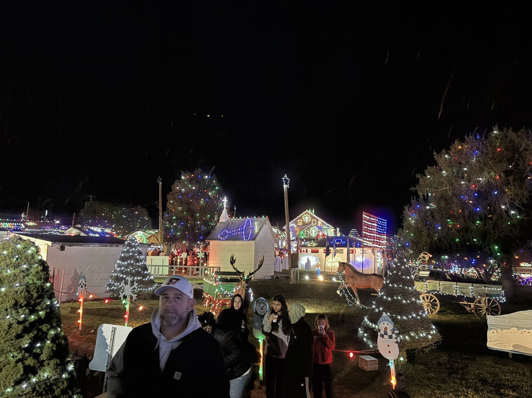 Koziar's Christmas Village景点图片