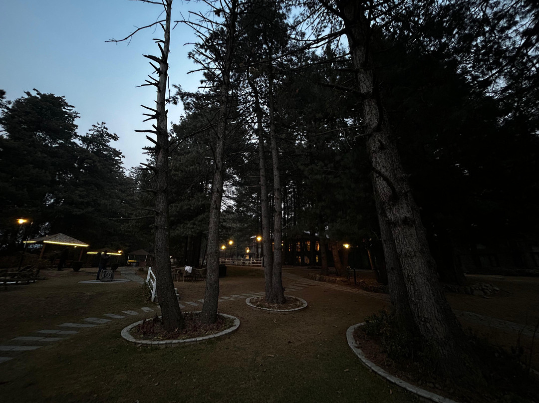 Welcomhotel By Itc Hotels, Pine N Peak主图