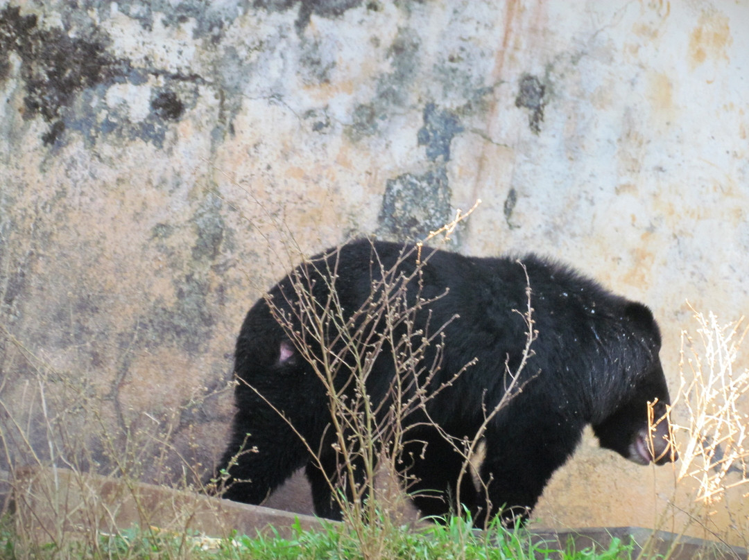Assam State Zoo and Botanical Garden景点图片