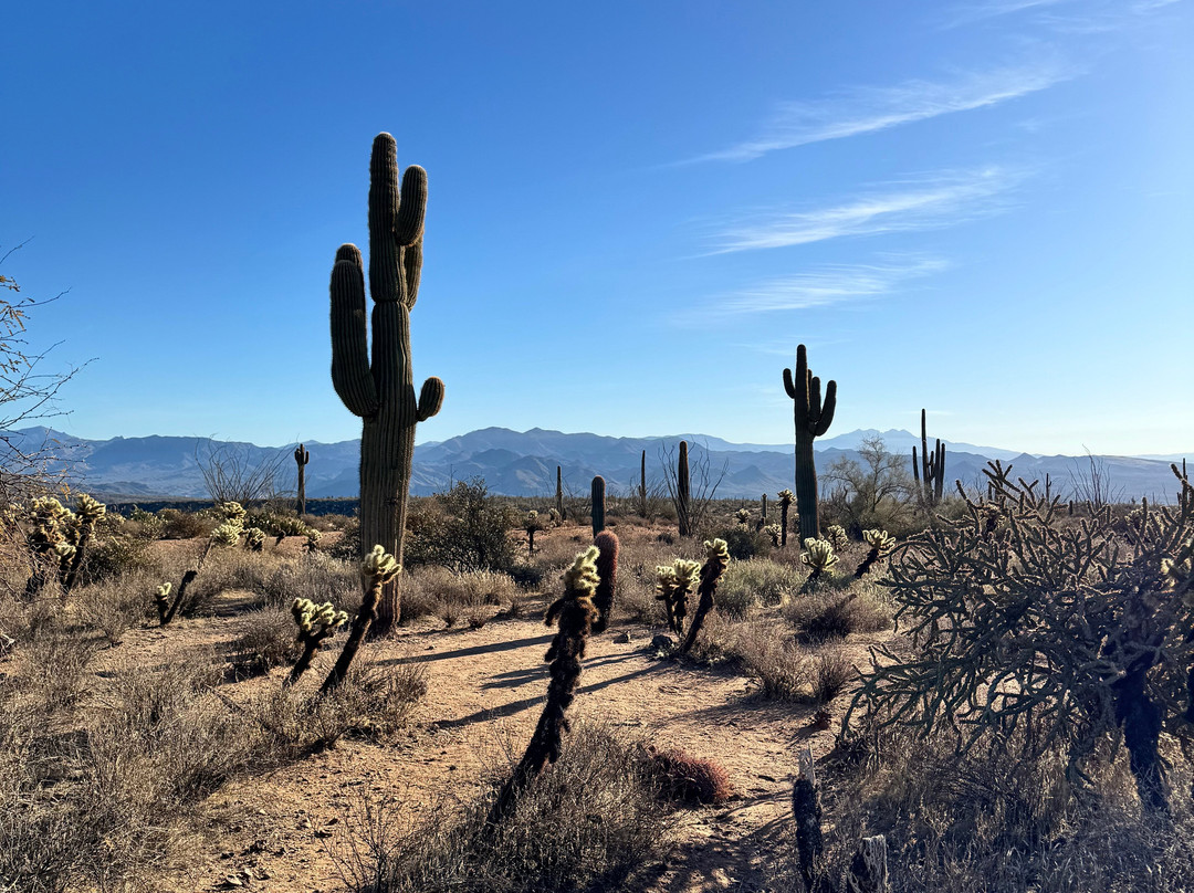 Scottsdale Adventure Tours-斯科茨代尔必去景点