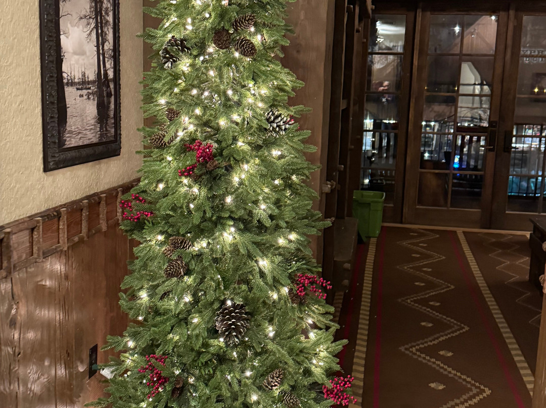 Big Cypress Lodge主图