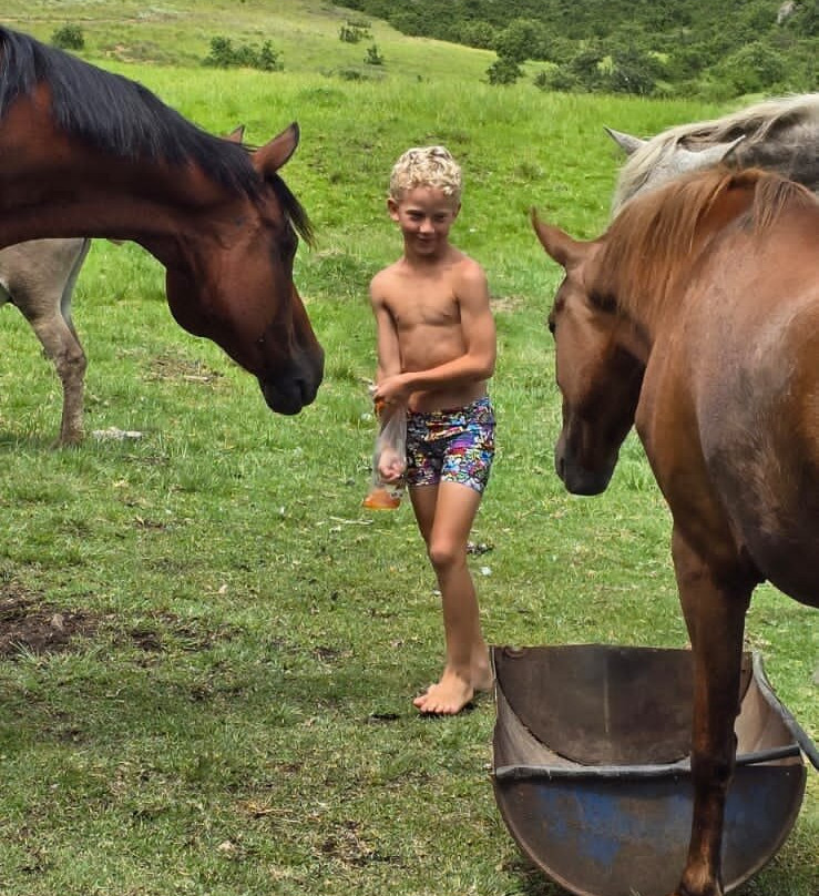 Oban Farm Stay Van Reenen主图