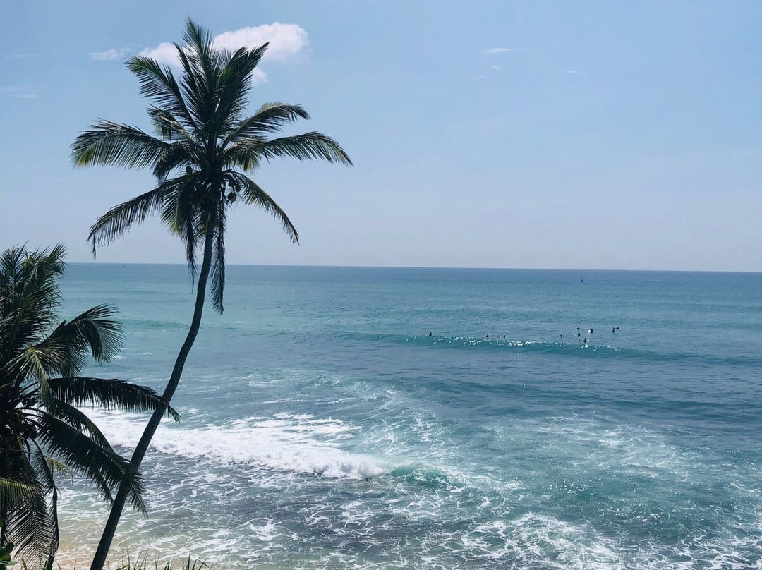 Rovenluck Eco Cabana主图