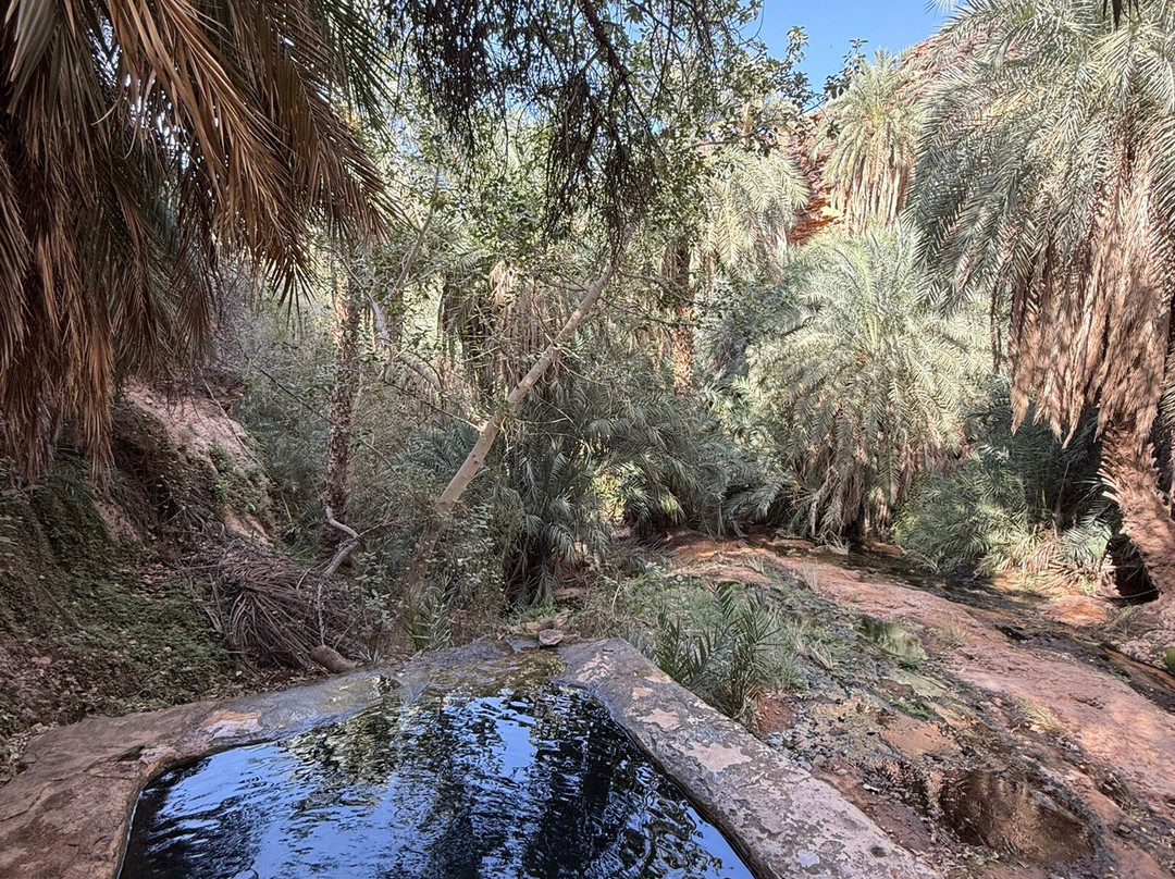 Mauritania Best Tours-诺克少必去景点