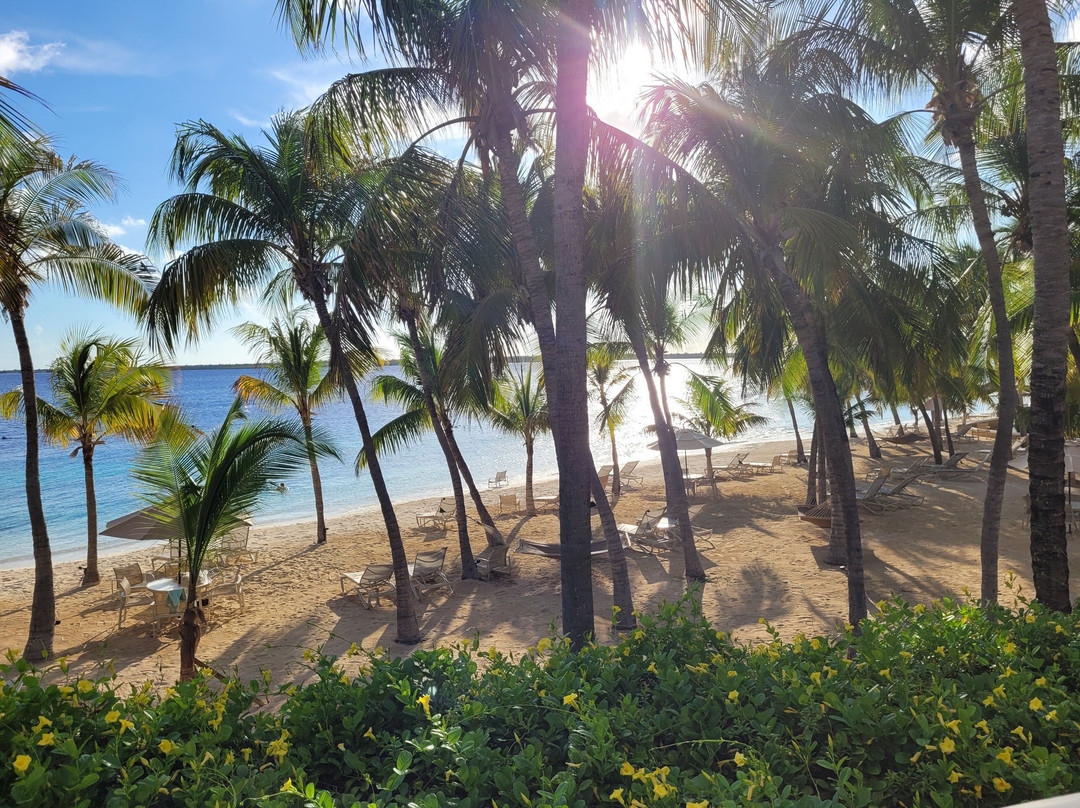 123 Car Rental Bonaire-Kralendijk必去景点