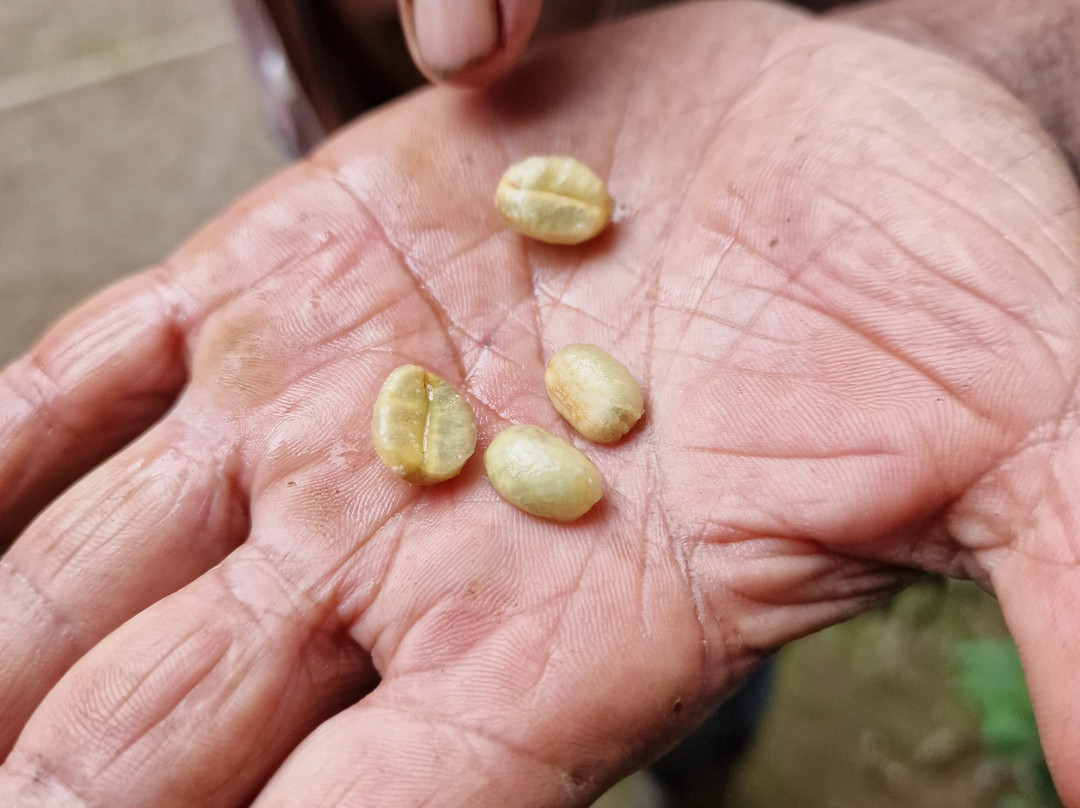 Finca la Esperanza景点图片