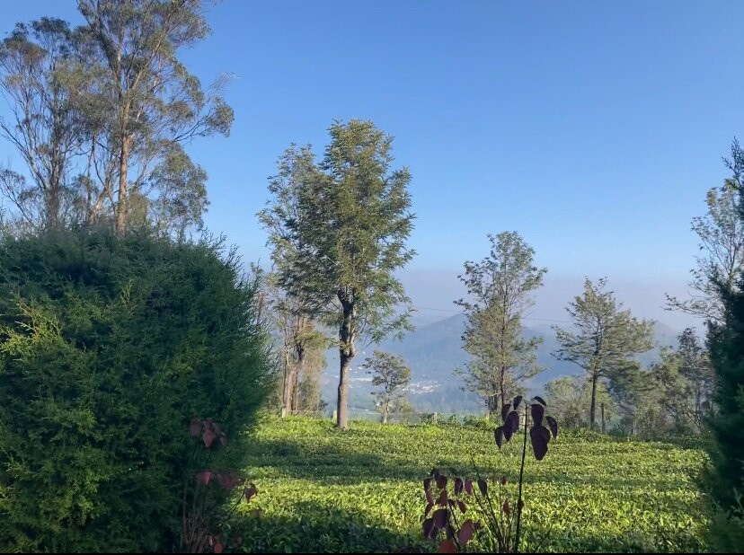 Kotagiri酒店住宿-Trilan Cottages