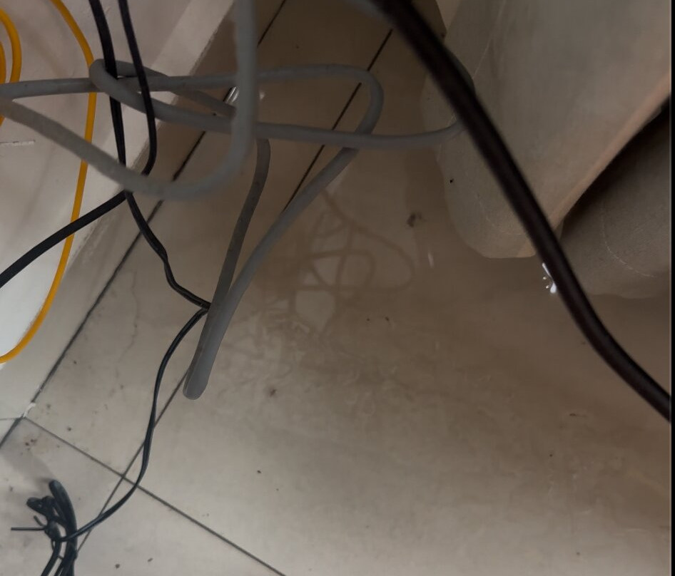 拉默迪斯提宾馆主图