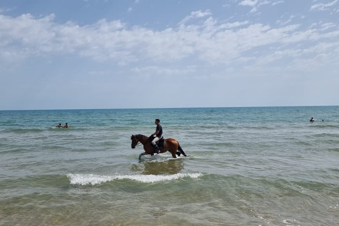 Les Cavaliers De Gammarth