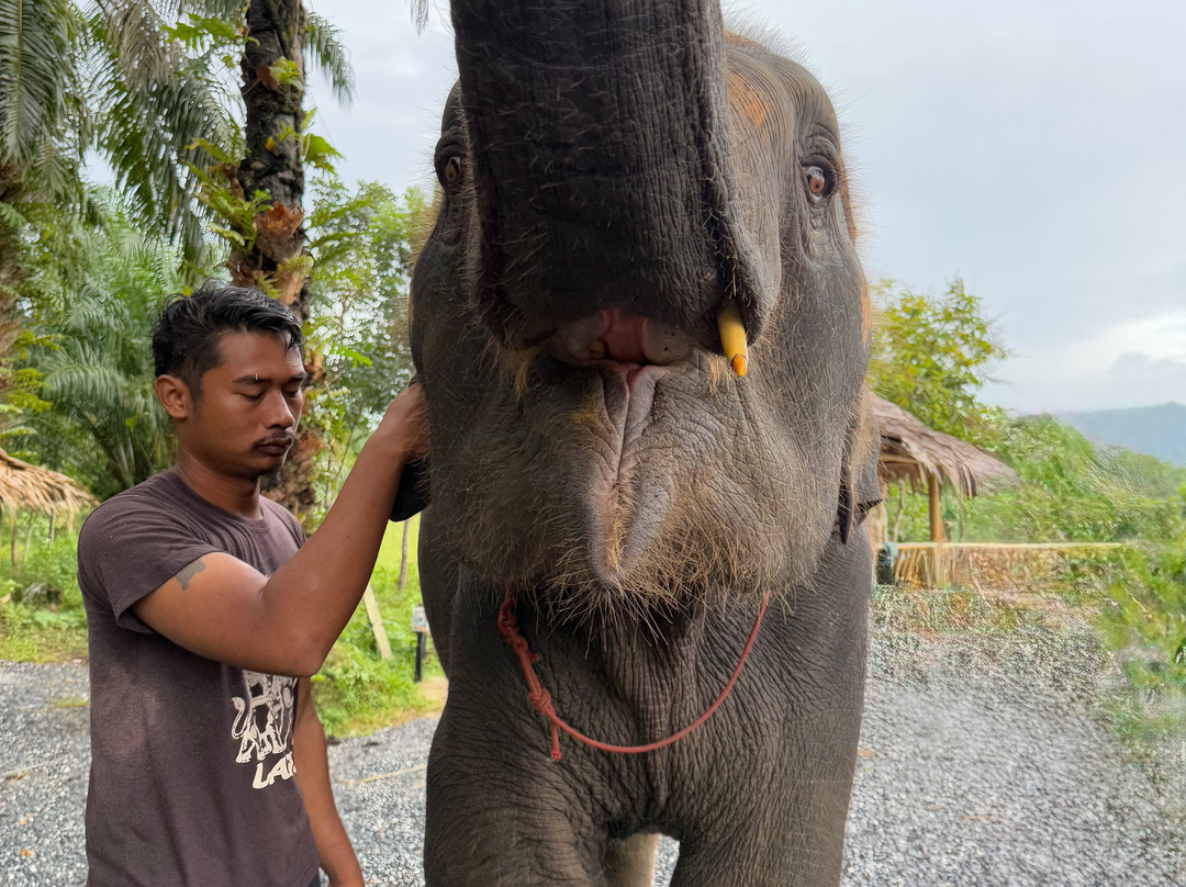 Krabi Elephant​ Heaven​-奥南必去景点