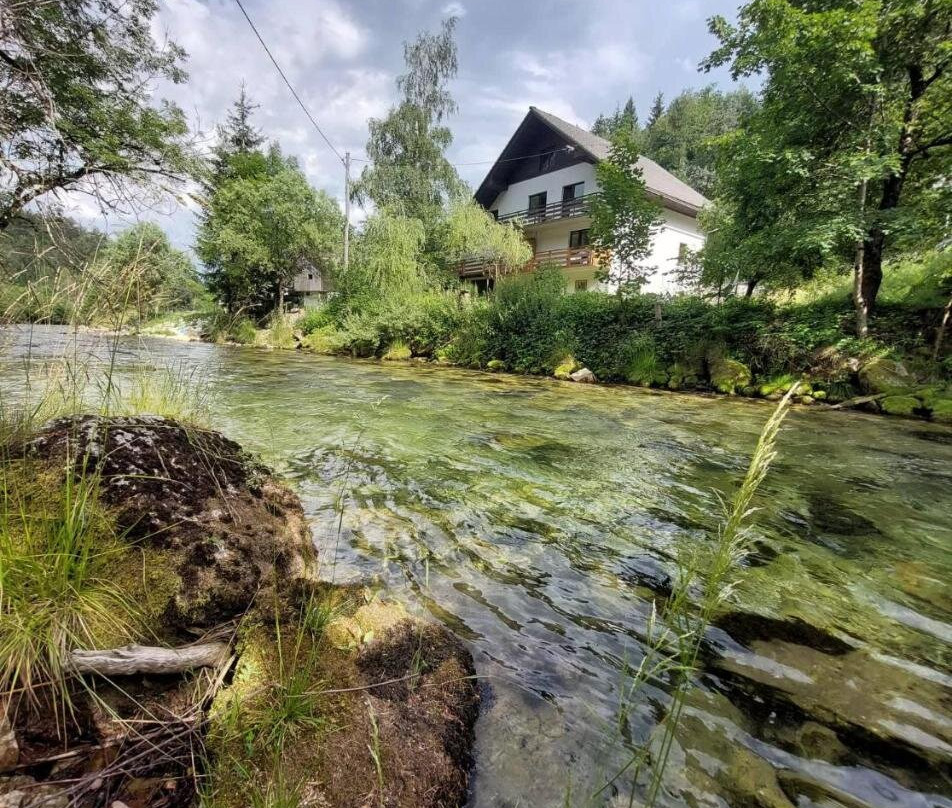 The RiverSide Chill Hostel