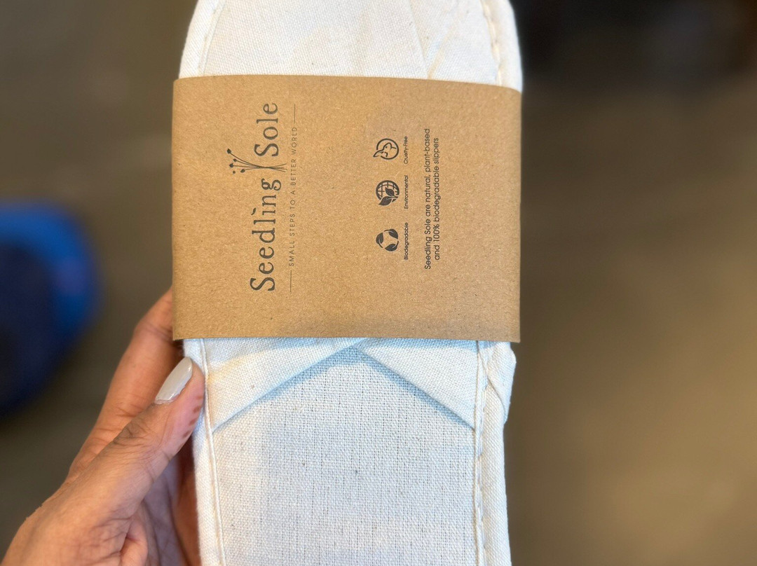 Crowne Plaza Sydney Burwood By IHG主图