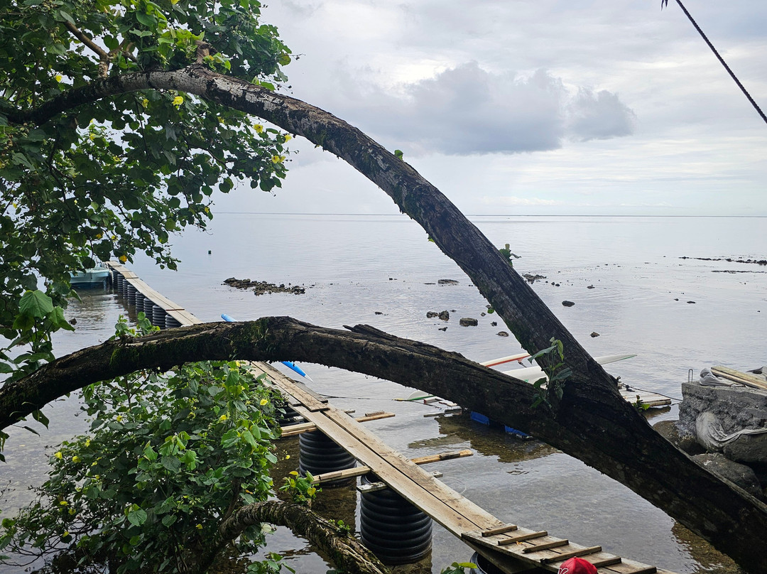 Tahiti iti pearl farm - La Ferme Perlière Touristique de Tahiti--Teahupoo必去景点