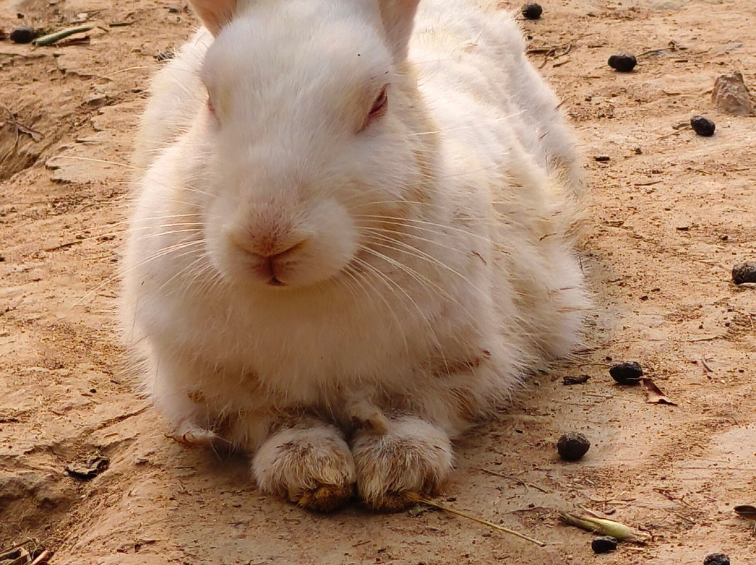 Pandu Pokhar-王舍城必去景点
