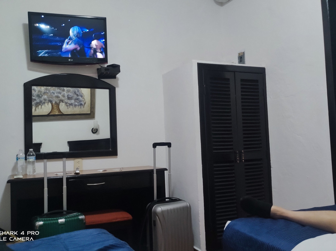 Hotel Del Carmen主图