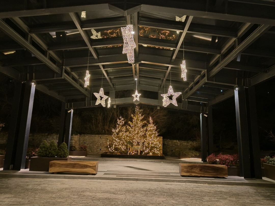 The Lynx Mountain Resort主图