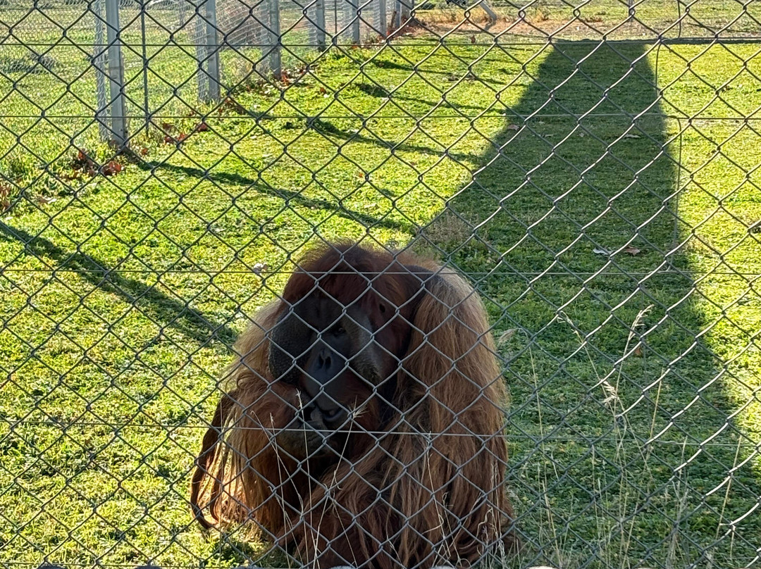 Centro De Rescate Y Recuperación De Primates Rainfer景点图片