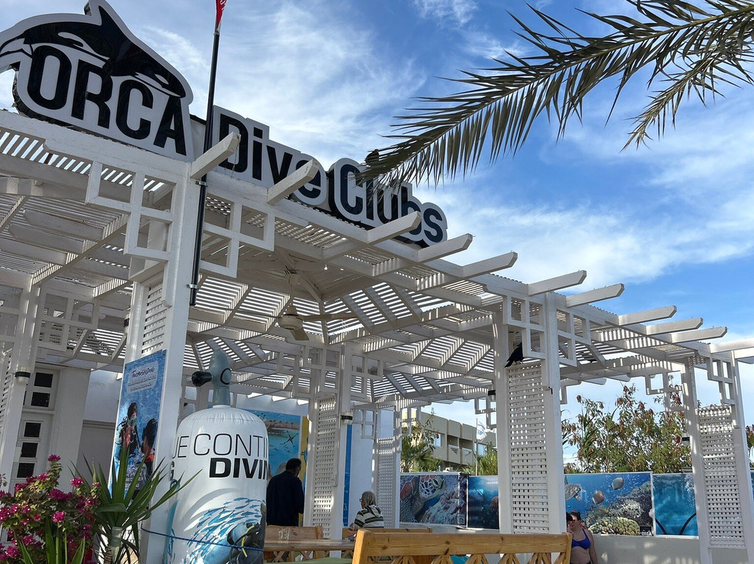 Orca Dive Club Safaga-Safaga必去景点