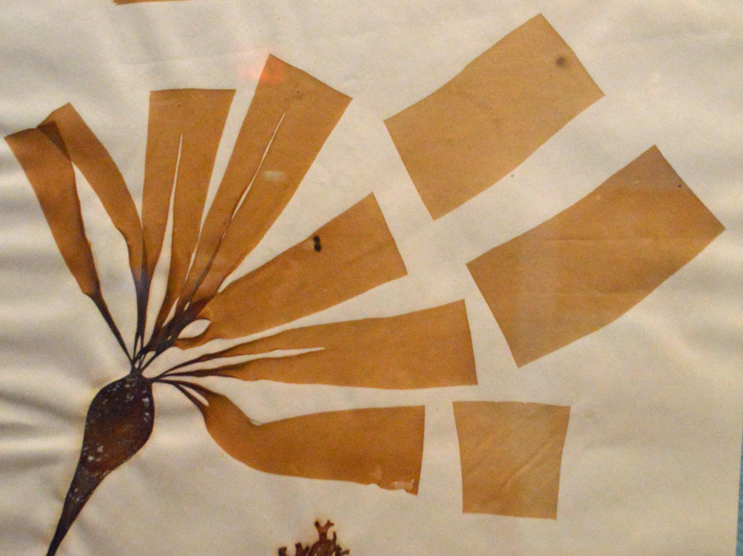 Museum of Natural and Cultural History-尤金必去景点