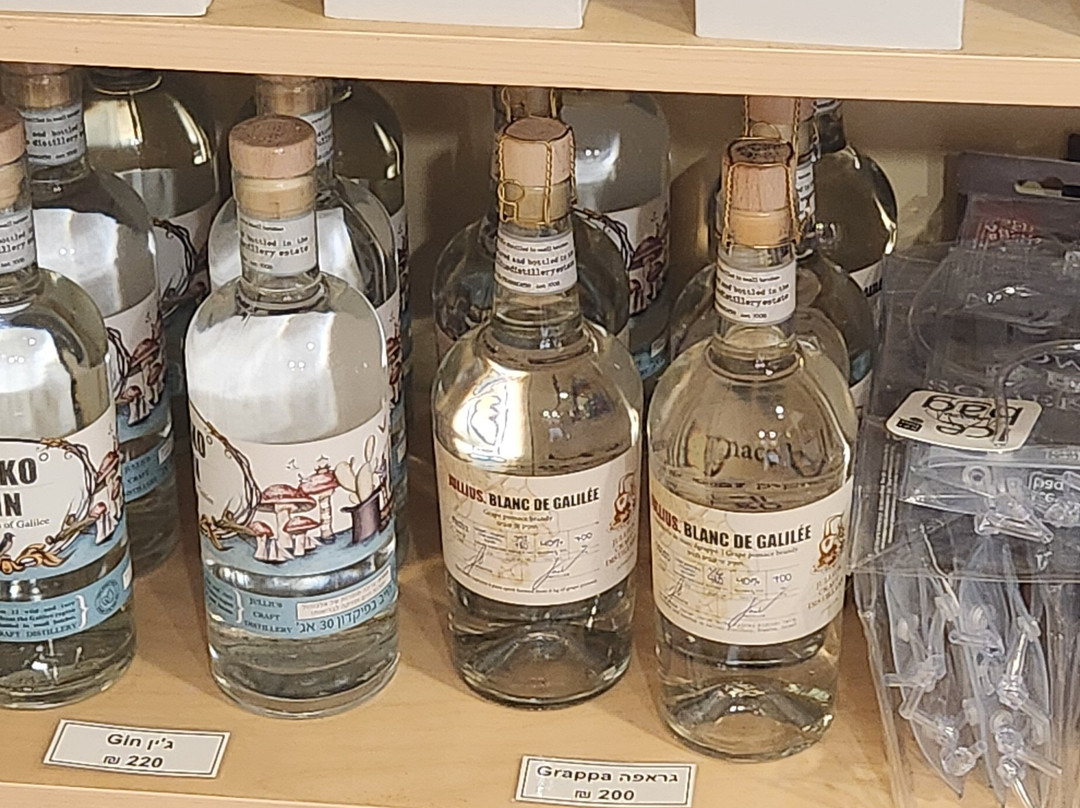 Somek Estate Winery-Zichron Yaakov必去景点