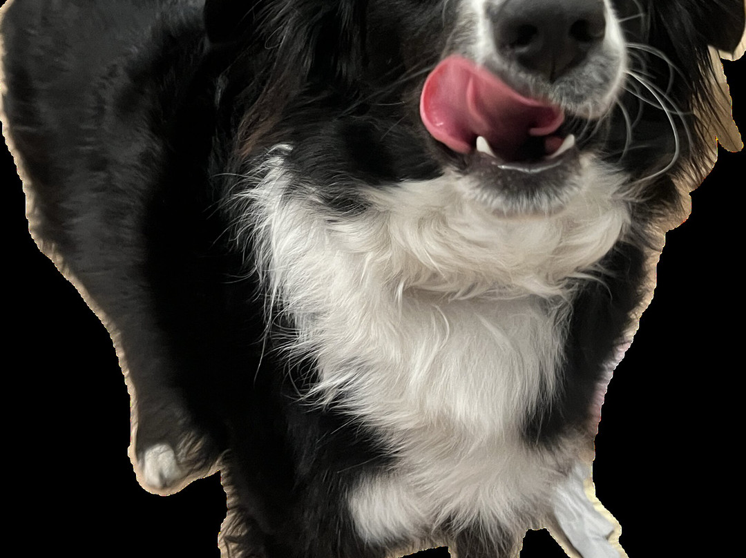 My Place Hotel-Hurricane Zion National Park, UT主图