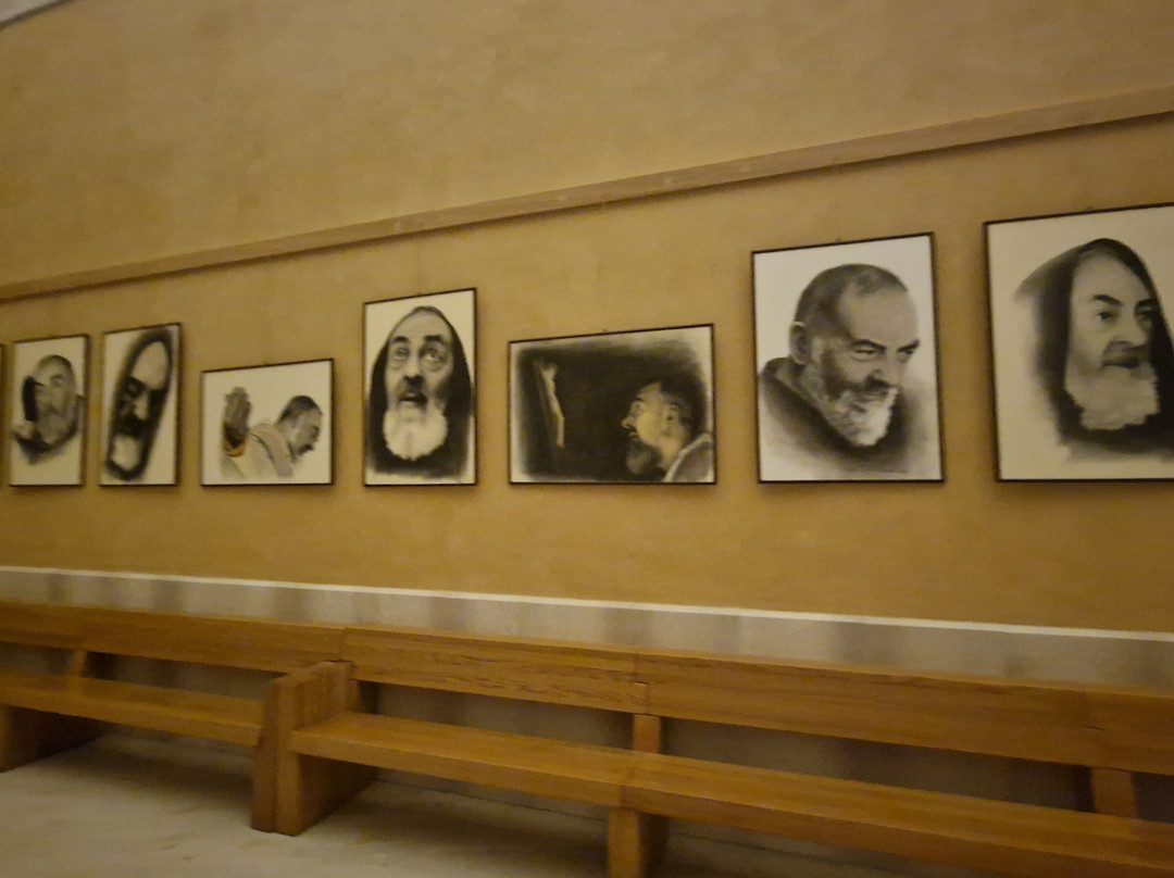 Santuario Padre Pio景点图片