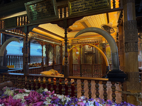 Easy Tours Sri lanka-科伦坡必去景点