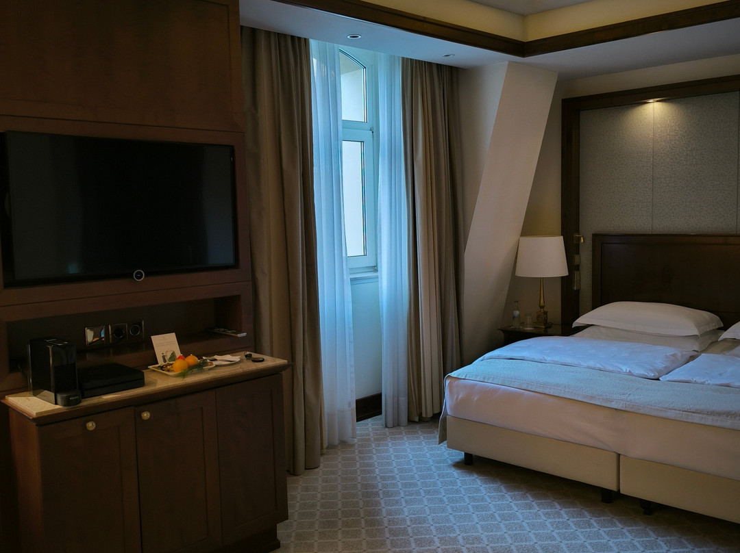 恩斯特·艾玛·多姆伊克赛尔瑟酒店主图