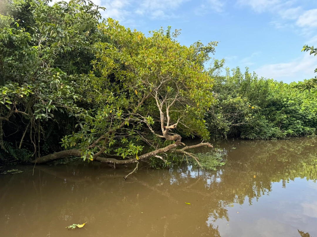 Chinuka Lagoon Safari景点图片