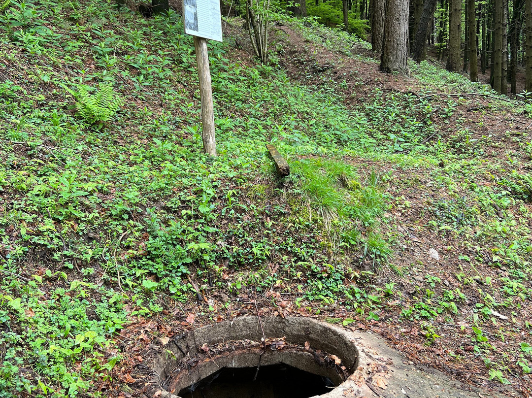 Museo Storico della Linea Gotica di Montemurlo-Montemurlo必去景点