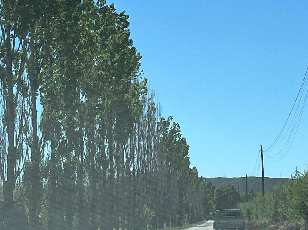 Palermo-布宜诺斯艾利斯必去景点