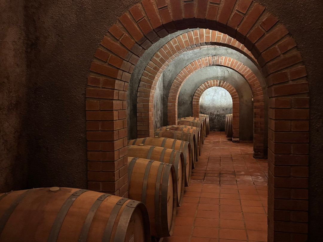 Celler Batea景点图片