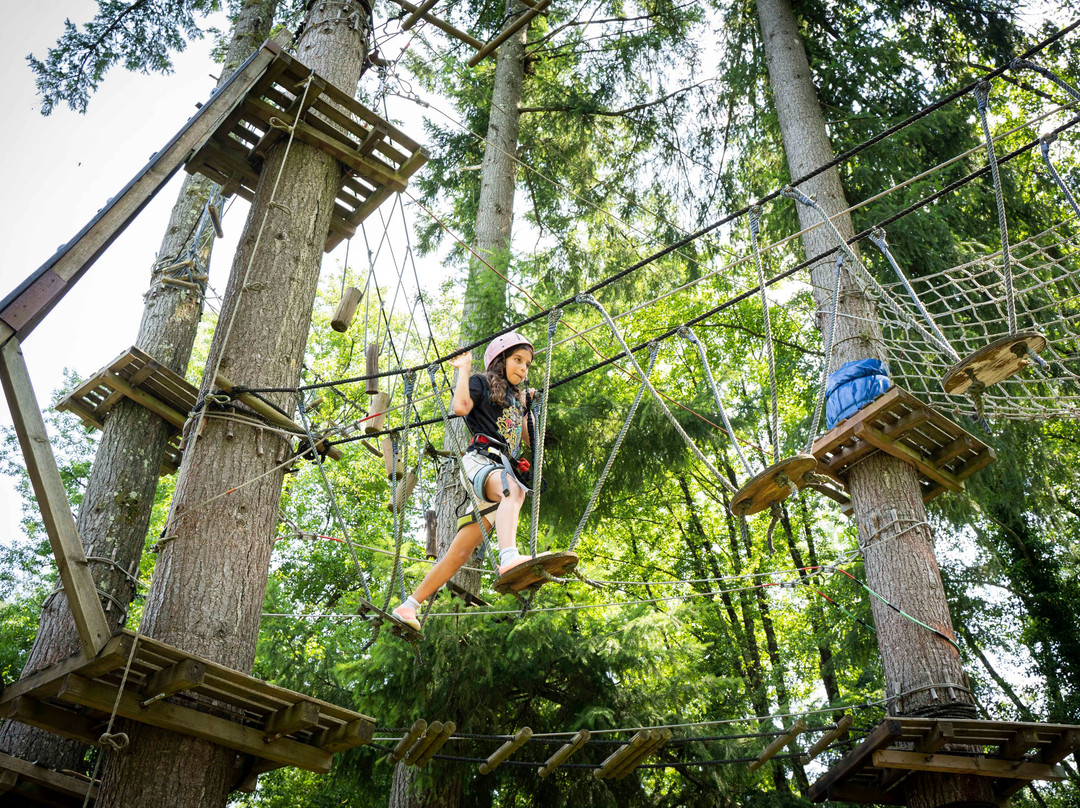 Associazione Adrenalina Parco Avventura Casentino景点图片