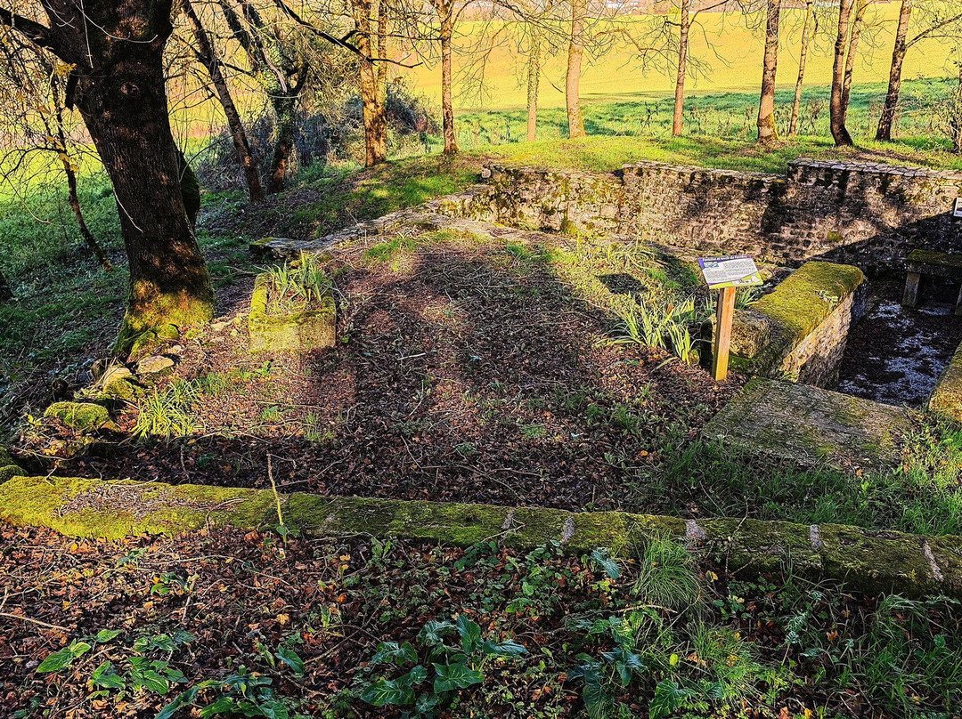 Lavoir De La Ferrière景点图片