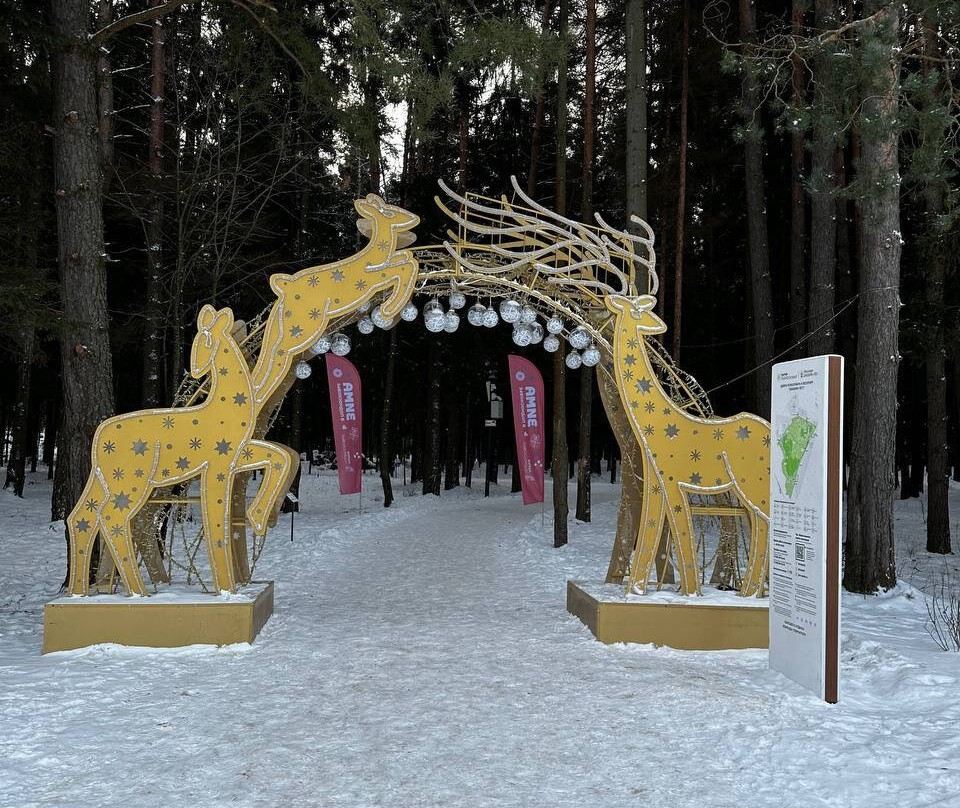 Shishkin Forest Forest Park景点图片