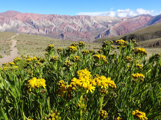 Andes Challenge-萨尔塔必去景点