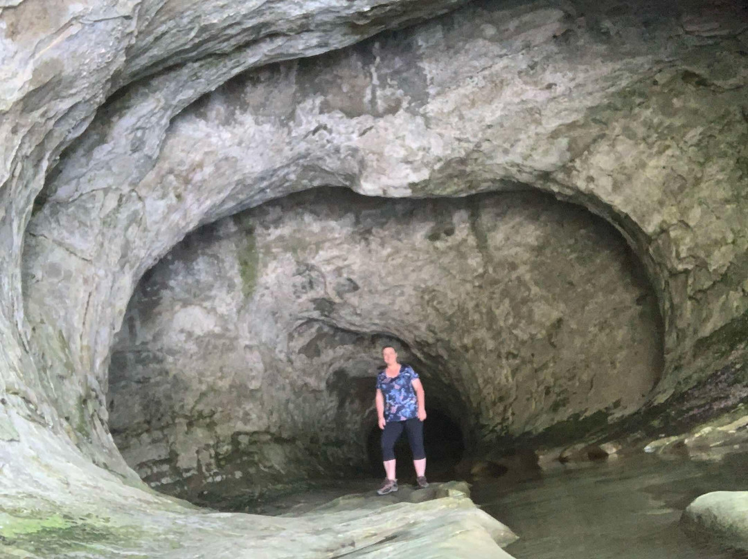 Cave Stream Scenic Reserve-Castle Hill必去景点