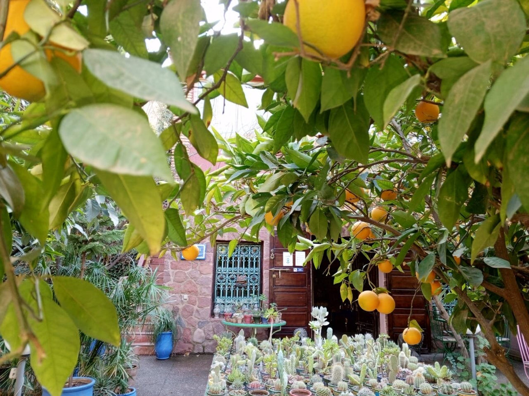 Chez Larbi Ourika主图