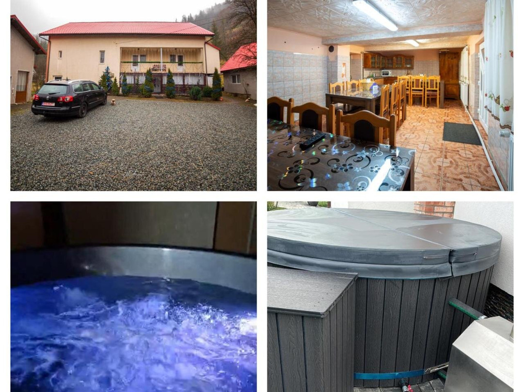 Casa Cosmina Arieseni