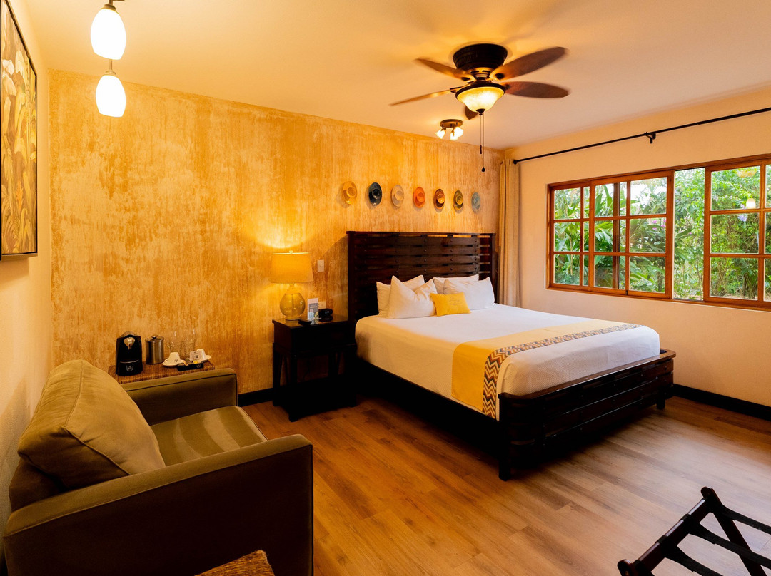 Buena Vista Chic Hotel主图