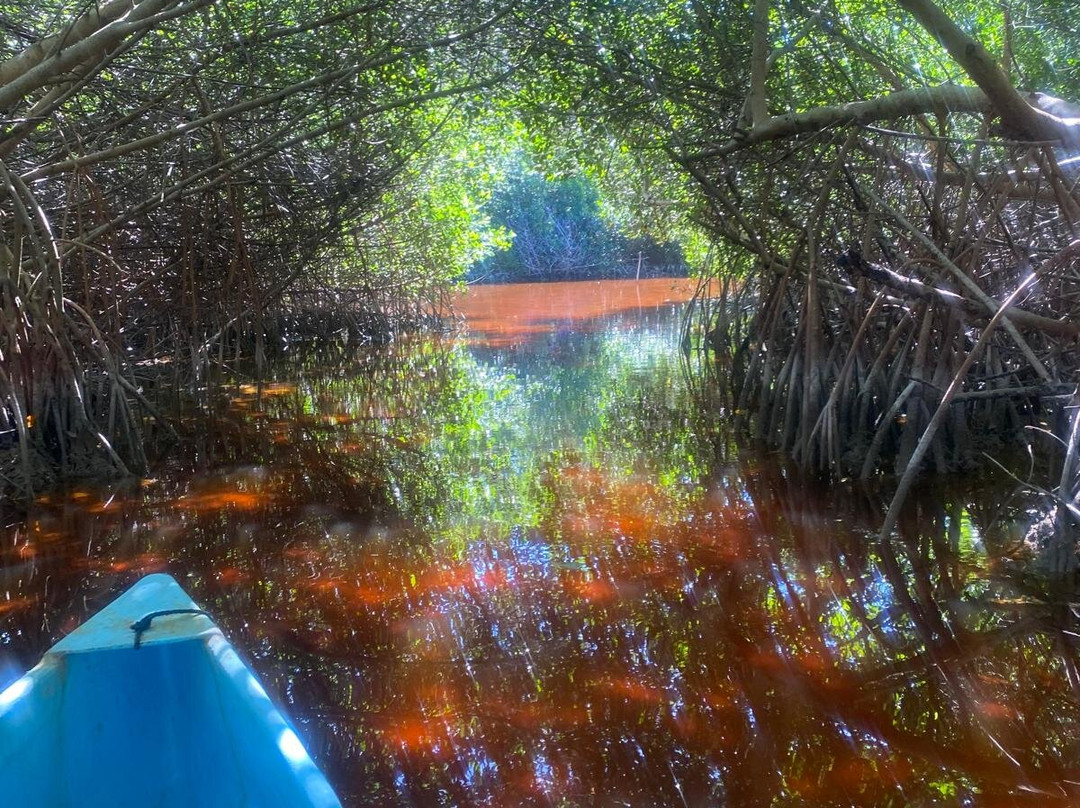 Reserva de la Biosfera Ría Celestún-塞莱斯顿必去景点
