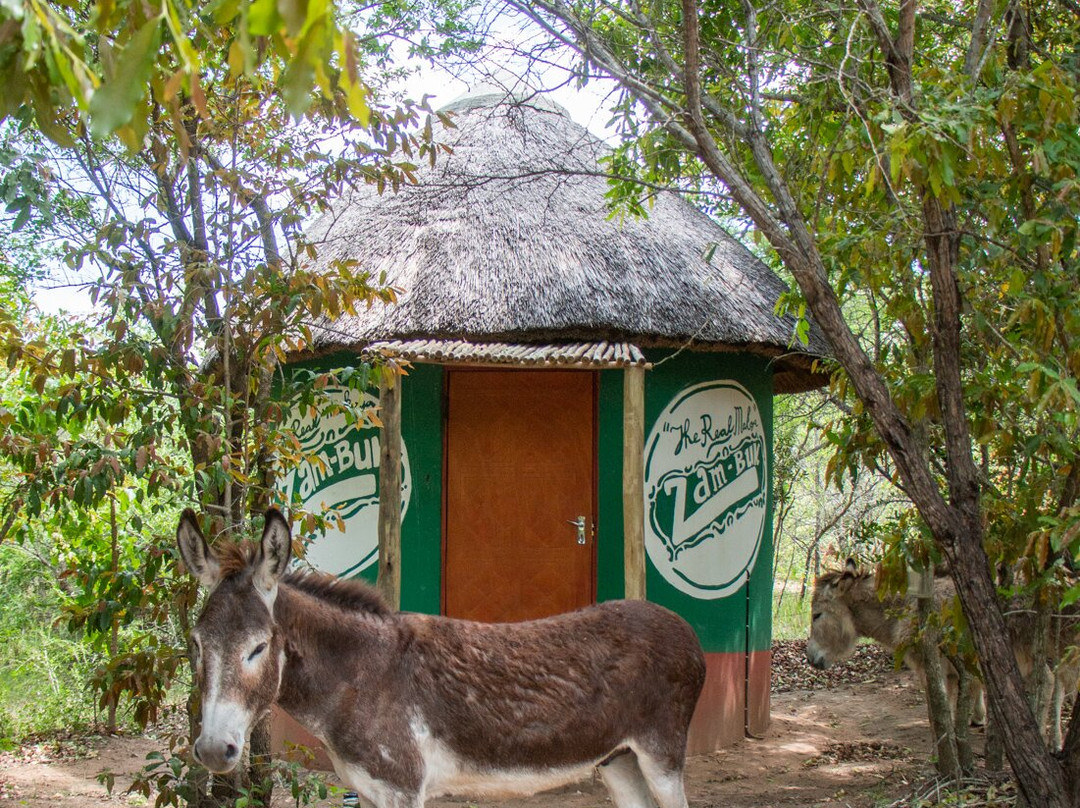 Shik Shack Cultural Tour-Limpopo Province必去景点