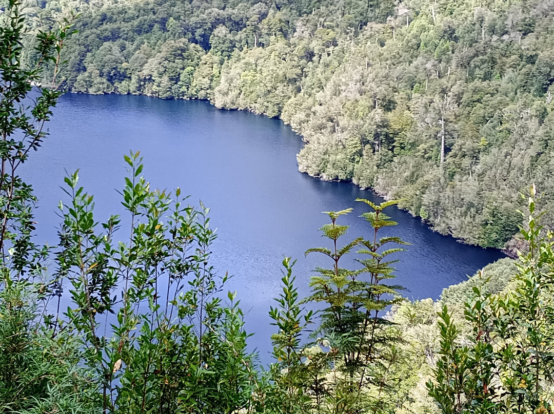 Parque Nacional Alerce Andino-蒙特港必去景点
