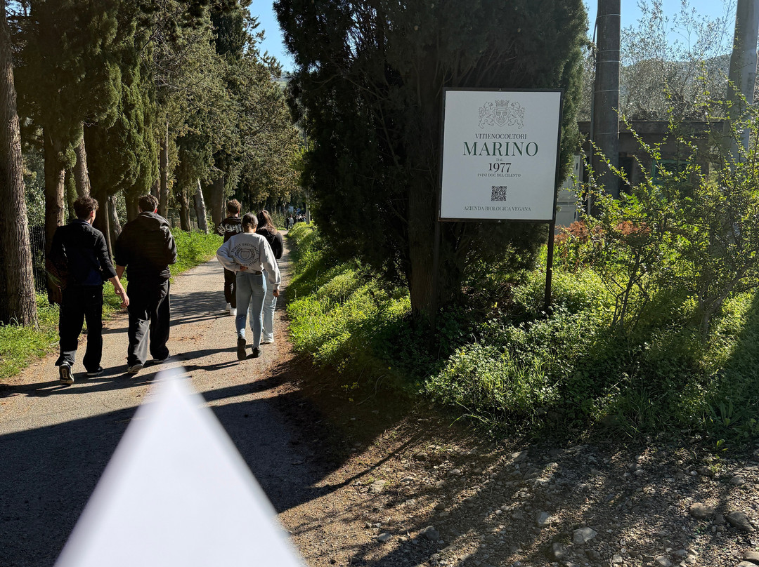 Azienda Agricola Marino景点图片